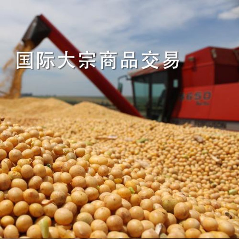 太原批发零售行业：市场趋势与应对策略